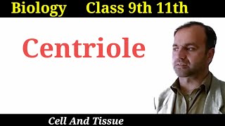 Centrioles  structure and function of centrioles  Class 9 and 11  Cell organelles [upl. by Chladek]