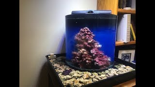 DIY Overflowing Infinity Aquarium [upl. by Duane]