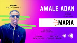 AWALE ADAN  MARIA  NEW SONG 2023 [upl. by Solorac]