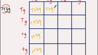 Dihybrid Punnett Square [upl. by Viccora]