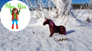 Un mystérieux cheval rose  Episode 5  Saison 4  Film playmobil [upl. by Eiuqnimod]