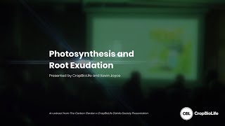 Photosynthesis and Root Exudation [upl. by Okemak627]