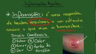 Inflamação Aguda  Resumo  Patologia Geral [upl. by Mcnally]