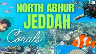 Under the sea north obhur jeddah [upl. by Khudari]