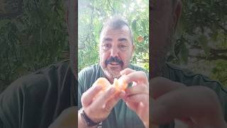 Las vitaminas de las mandarinas mandarinas naranjas [upl. by Maxia]