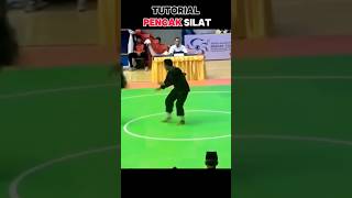 Back scissor🔥pencaksilatkarate teakwandoshorts silat medalist subscribe 🙏✅ [upl. by Valeria]