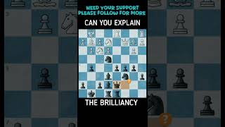 samaytreaty chess chessindia gothamchess chessbaseindia chessgame magnuscarlsen hikaru mate [upl. by Philips714]