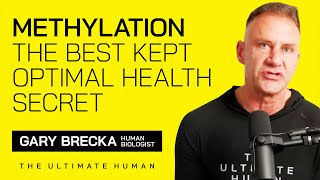 Methylation  The Best Kept Optimal Health Secret [upl. by Clarkin]