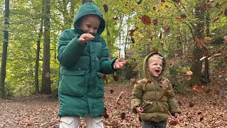 Kabouterbos 🍂 Beek Ubbergen herfst speurtocht familie uitje in de natuur 🍁op zondag 🍃vlog 13 [upl. by Gerald45]