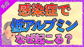 イラストで学ぶ医学！「感染症で低アルブミンになる理由とは？」アルブミンとはラシックスとアルブミンの関係アセスメントの仕方 [upl. by Eilime]