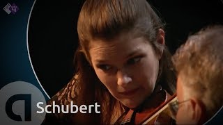 Schubert Pianotrio in Besgroot D 898  Janine Jansen amp Friends  Kamermuziek Festival 2011 [upl. by Hselin901]