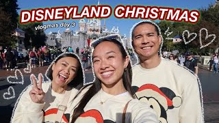 DISNEYLAND CHRISTMAS  Vlogmas Day 3 [upl. by Oesile323]