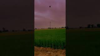 Beautiful view ❤️viralvideo youtubeshorts punjab nature shortsviral trending trendingshorts [upl. by Nnylg]