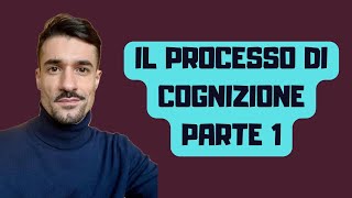 IL PROCESSO DI COGNIZIONE  Latto di citazione la comparsa di risposta ludienza di trattazione [upl. by Mendy]