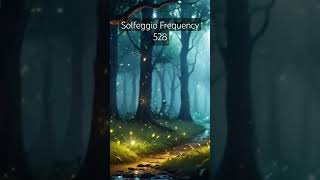 Solfeggio Frequency 528  Healing Love [upl. by Hobart]