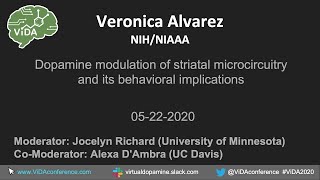 Veronica Alvarez  Dopamine modulation of striatal microcircuitry and its behavioral implications [upl. by Bove]