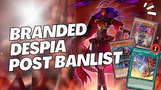 Branded Despia How to play  decklist POST SEPTEMBER 2024 BANLIST⚠ [upl. by Latif]