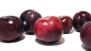 TimeLapse  Rotting Plums  Zeitraffer Verrottende Pflaumen [upl. by Allmon]