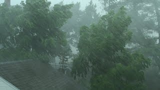 Heavy Rain and Wind Sounds For Sleeping  Relaxation  10 Hours [upl. by Lunt]