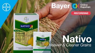 Bayer OK Nativo  Heavier and Cleaner Grains [upl. by Boggers]