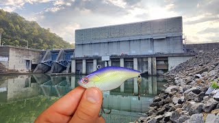 Catching BIG FISH in the Melton Hill Spillway [upl. by Shifrah]