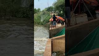 Real hand fishing in the river water fishing fishingworld shorts fishingtips fish fishingworl [upl. by Gundry]