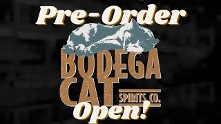 Bodega Cat is Here [upl. by Ettenel931]