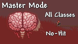 Brain of Cthulhu All Classes NoHit  Terraria 144 [upl. by Friedrick]