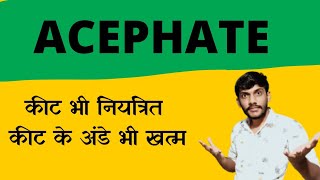 Acephate 75sp insecticide सस्ता और सब से अच्छा किटनाशक प्राथमिक कीटनाशक [upl. by Okimat380]