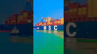 MSC Mafia log  ekdum bagal se nikalte hue thodi information bhi hai dekh lo 🚢⚓💕shorts vlog love [upl. by Rebmac]