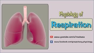 Easy Physiology  Respiration  2Oxygen Dissociation Curve [upl. by Kelwin]