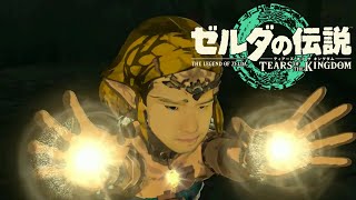 ゆゆうたの「ゼルダの伝説 ティアーズ オブ ザ キングダム」初見プレイ10【2024111819】 [upl. by Kaylyn]