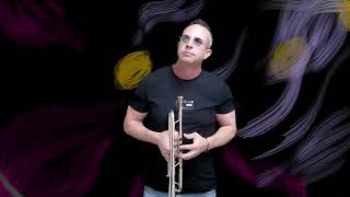 MORNING DANCE Spyro Gyra  DON TRUMPET [upl. by Intisar]