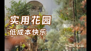 好看的花园，没那么贵，就是自己有点累  省钱造花园  园丁小饭 [upl. by Ahsilat]