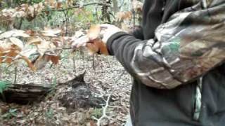 Making a Natural Ground Blind Part 2 [upl. by Aelahs]