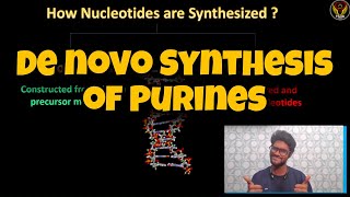 De novo Synthesis of Purines 🧬  Tamil  Nucleotide  Adenine Guaninemolbio  DNA  ThiNK BIOLOGY [upl. by Rahm]