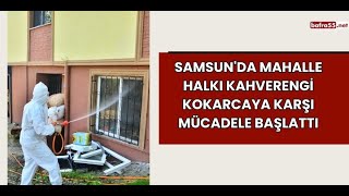 Samsunda Mahalle Halkı Kahverengi Kokarcaya Karşı Mücadele Başlattı samsun kokarca bafra55net [upl. by Mello]