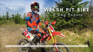 Best of Welsh Pit Bike  140 Race [upl. by Meill]