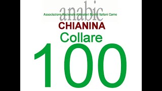 CHIANINA  COLLARE 100 IT055990080156 [upl. by Starkey647]