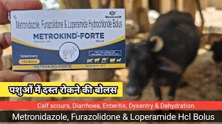 MEROKIND FORTE  पशुओं में दस्त का ईलाज़  Metronidazole Furazolidone amp Loperamide Hcl Bolus [upl. by Zak426]