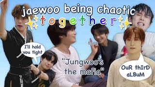 Jungwoo and Jaehyun being chaotic together [upl. by Nhor186]