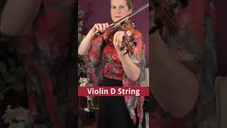 D String Violin [upl. by Leelaj990]