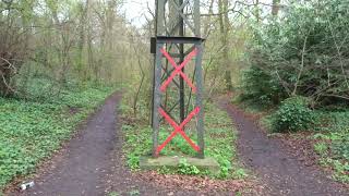 The pedestrian bridge over the Dingle public woodland near Curzon Park Chester Cheshire England UK [upl. by Valoniah950]