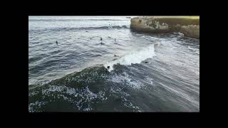 STEAMER LANE SANTA CRUZ SURFERS CALIFORNIA [upl. by Madelyn]