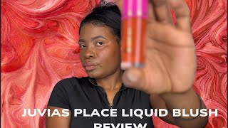 Juvias Place Liquid Blush OMG 😍 Honest Review  Swatches [upl. by Hahseram]