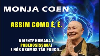 ASSIM COMO É É  Usamos pouco do poder que Temos para nosso Despertar Monja Coen [upl. by Kornher]