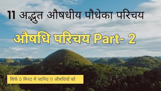 औषधि परिचय पार्ट2। 11 औषधीय पौधों को पहचाने सिर्फ 5 मिनट में।medicinalplants [upl. by Edna]