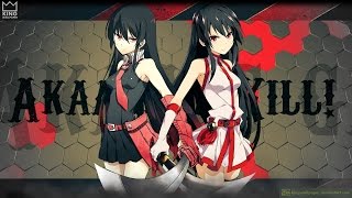 Akame Ga Kill Liar Mask Opening 2 Akame vs Esdeath [upl. by Netsirt569]