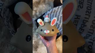 Animore Hopper the Bunny unboxinganimore helloslippers fyp [upl. by Audrit]