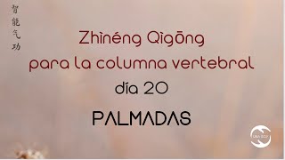 21 días de ZNQG para la columna 2024 PALMADAS [upl. by Suelo653]